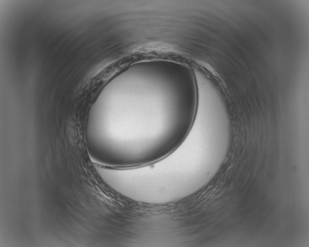 X0000056311112200508260817