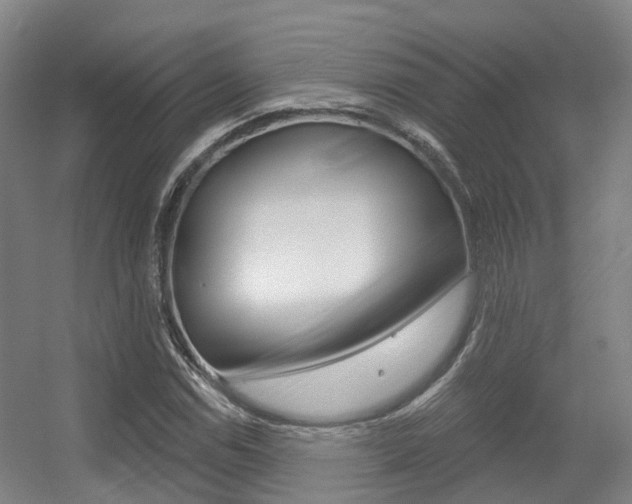 X0000056311114200508260817