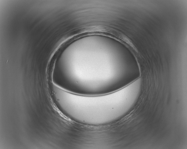 X0000056311116200508260817