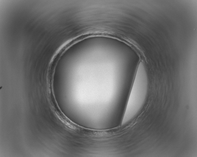 X0000056311120200508260818