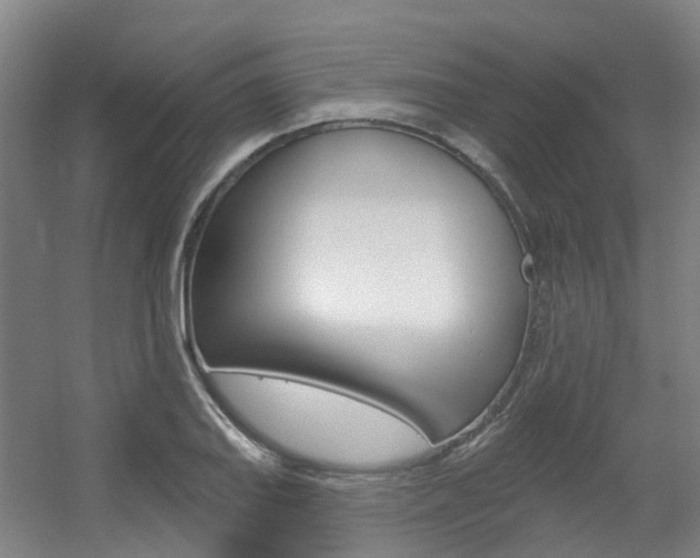 X0000056311127200508260818