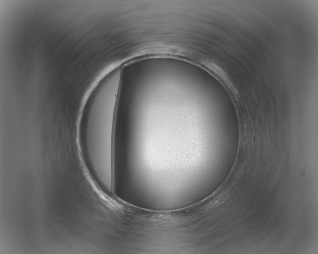 X0000056311128200508260818
