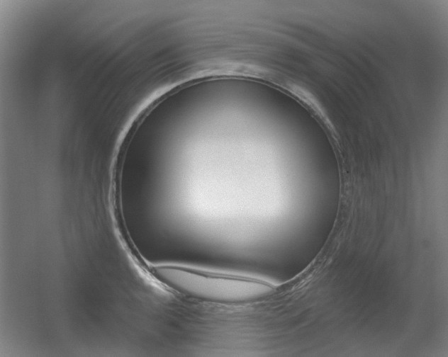X0000056311136200508260818