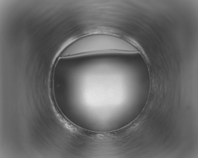 X0000056311138200508260818