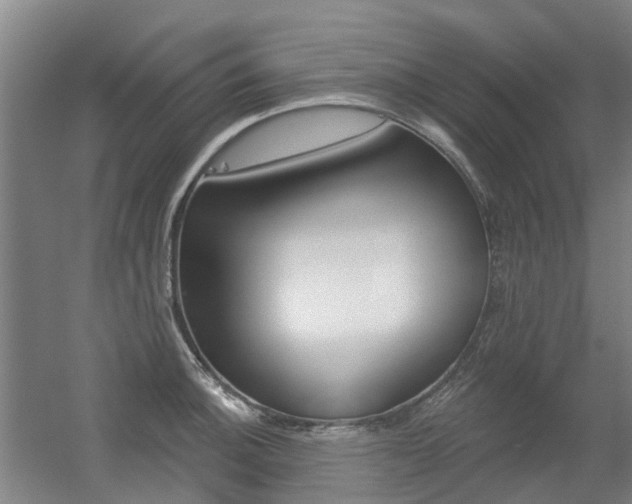 X0000056311140200508260818