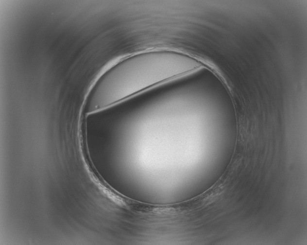 X0000056311142200508260818