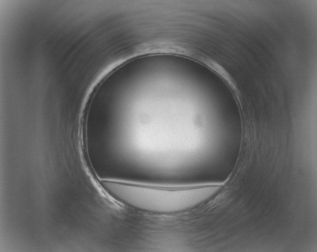 X0000056311144200508260818