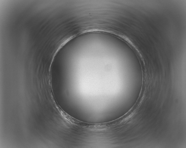 X0000056311145200508260818