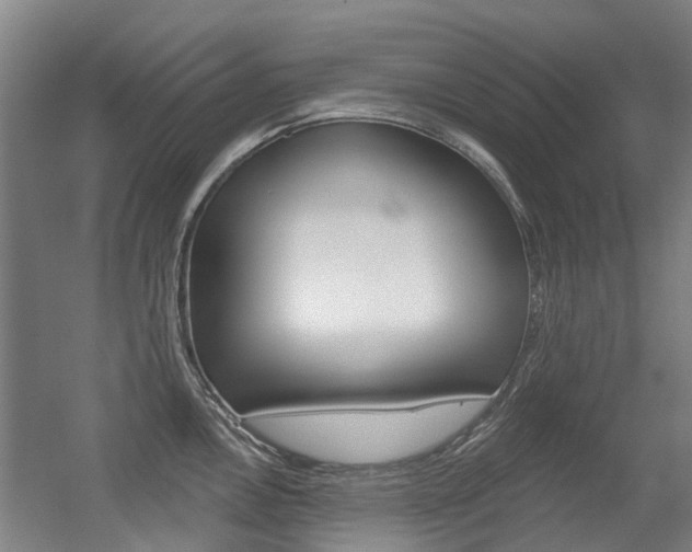 X0000056311146200508260818