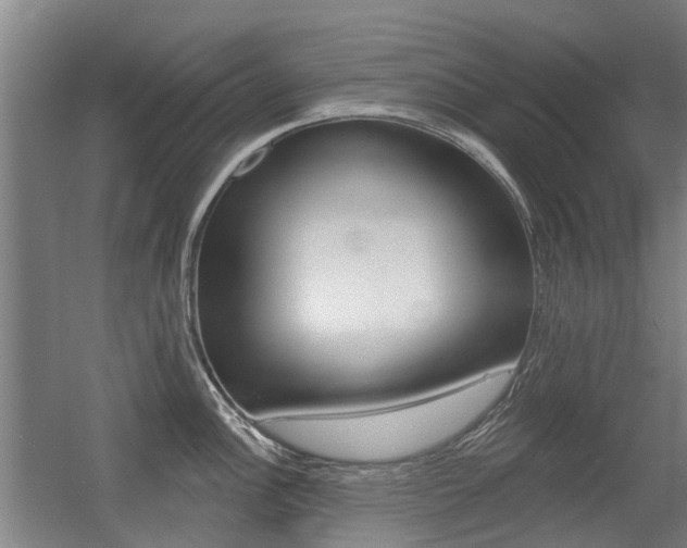 X0000056311148200508260818