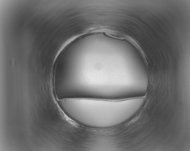 X0000056311149200508260818