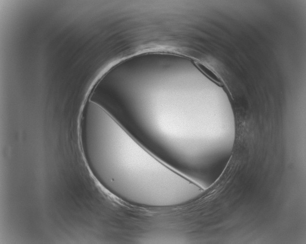 X0000056311151200508260818