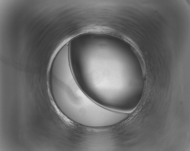 X0000056311152200508260818