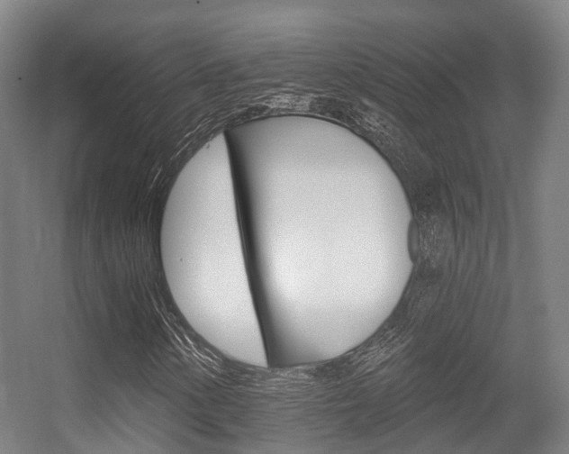 X0000056311154200508260817