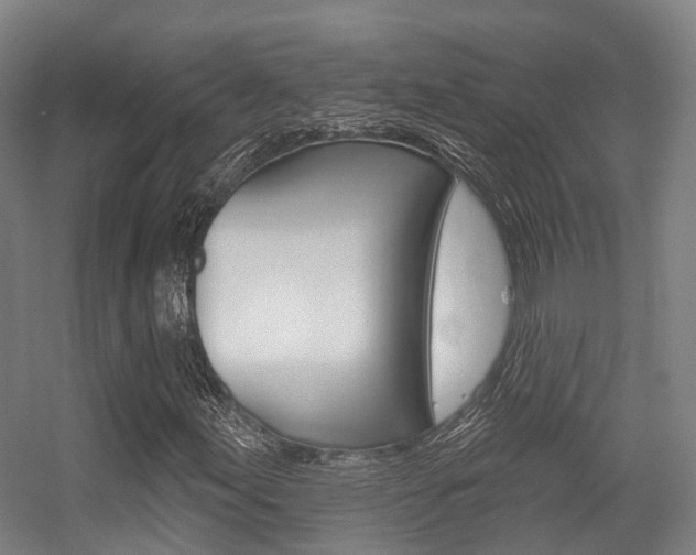 X0000056311155200508260817