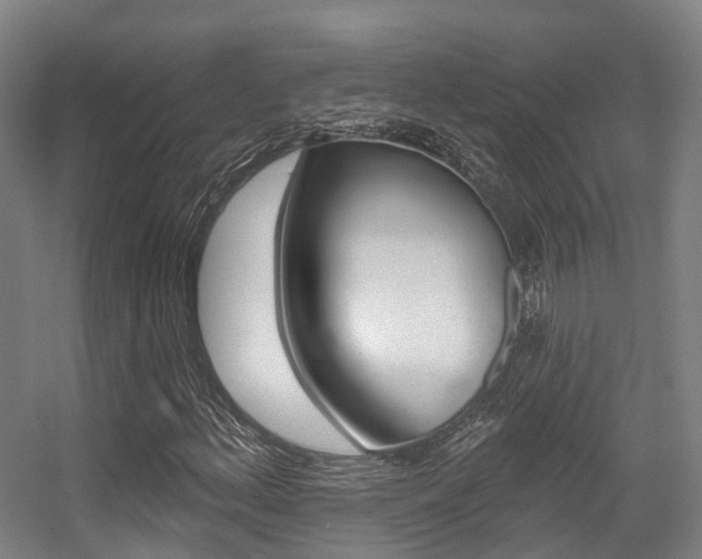 X0000056311156200508260817