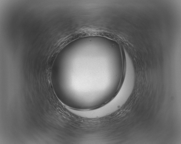 X0000056311157200508260817
