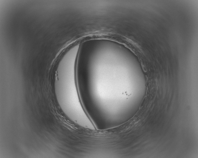 X0000056311160200508260817
