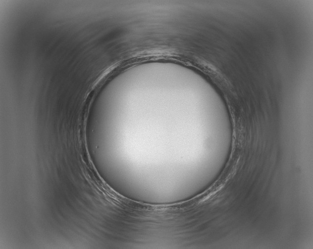 X0000056311162200508260817