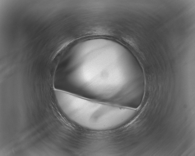 X0000056311163200508260817