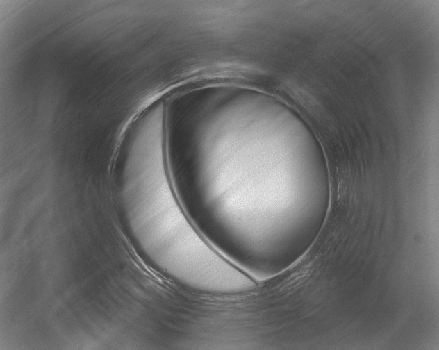 X0000056311164200508260817
