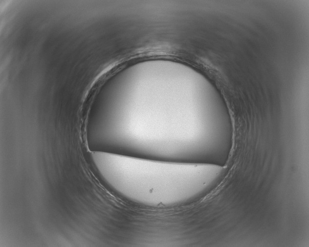 X0000056311166200508260817