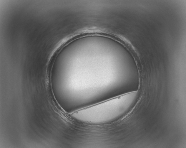 X0000056311167200508260817