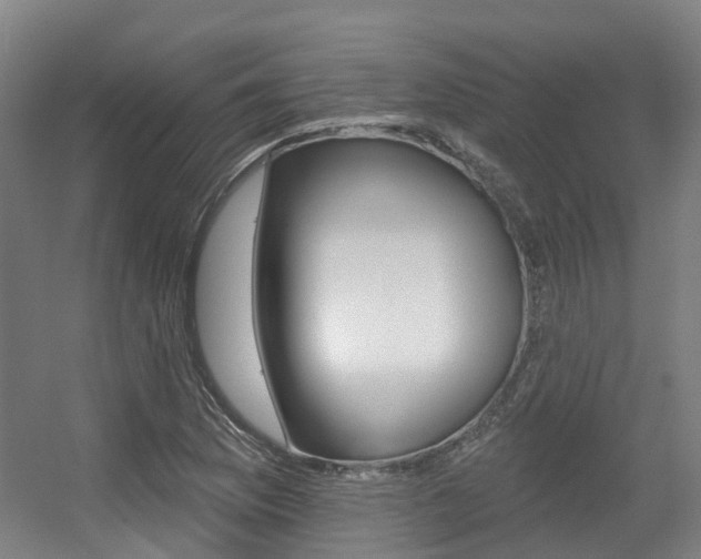 X0000056311169200508260817