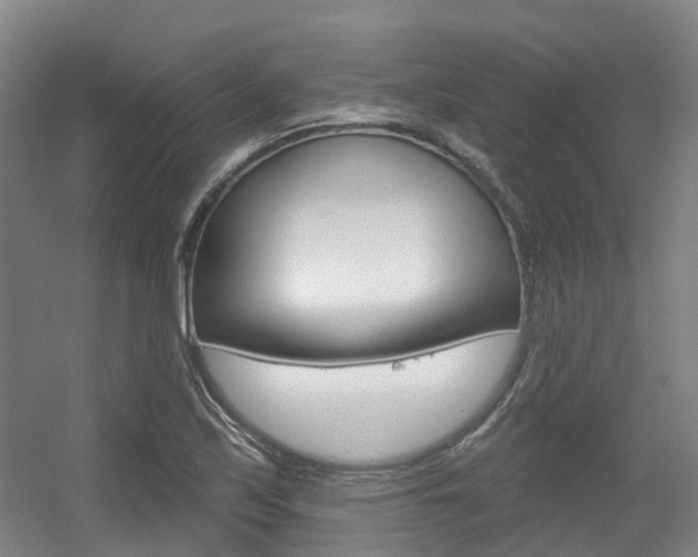 X0000056311171200508260817