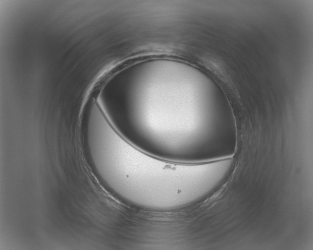 X0000056311172200508260817