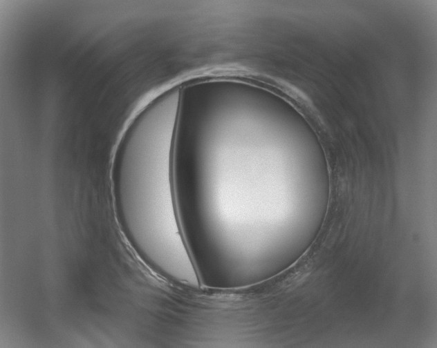 X0000056311176200508260817