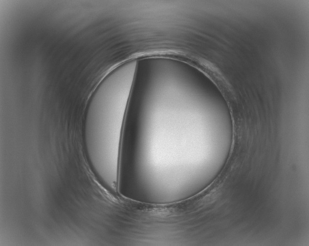 X0000056311177200508260817