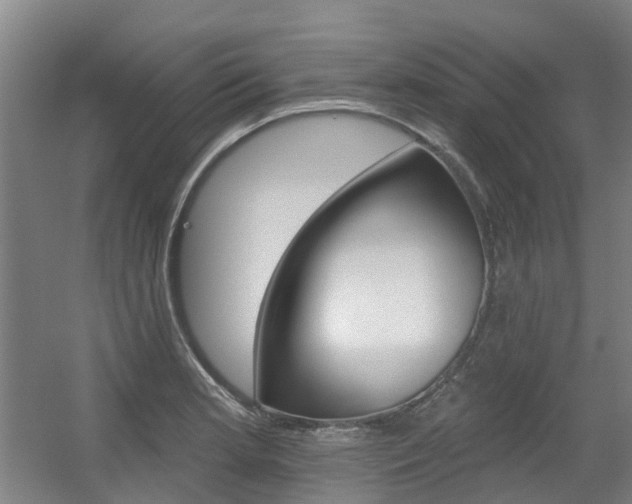 X0000056311181200508260817