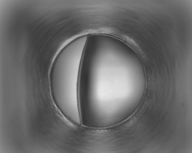 X0000056311184200508260817