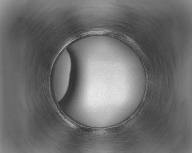 X0000056311186200508260817