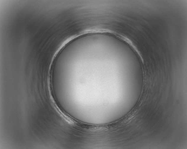 X0000056311187200508260817