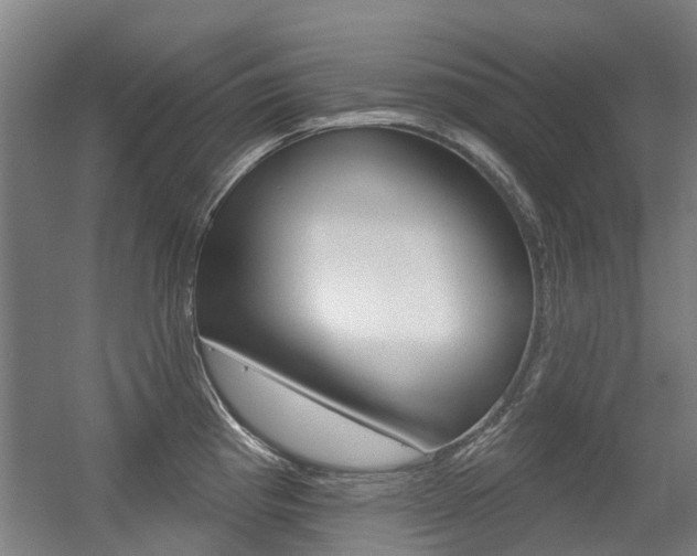 X0000056311193200508260817