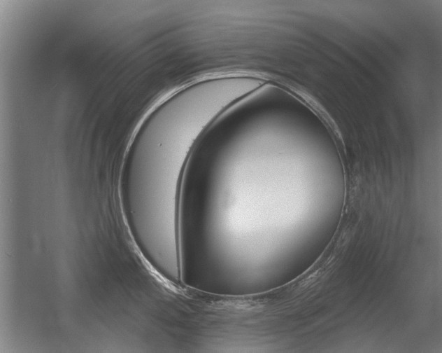 X0000056311197200508260817