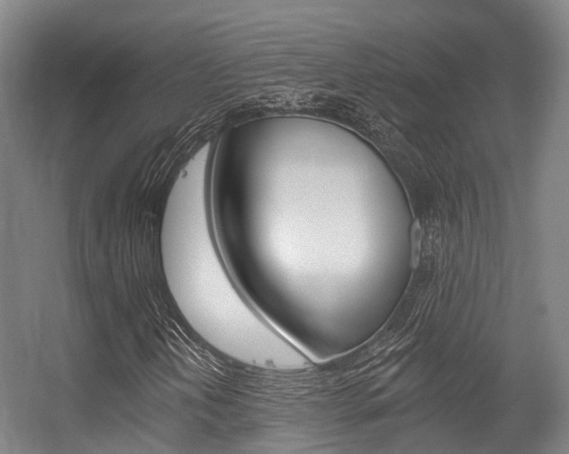 X0000056311202200508260816