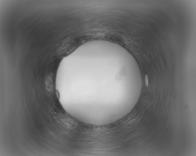 X0000056311203200508260816