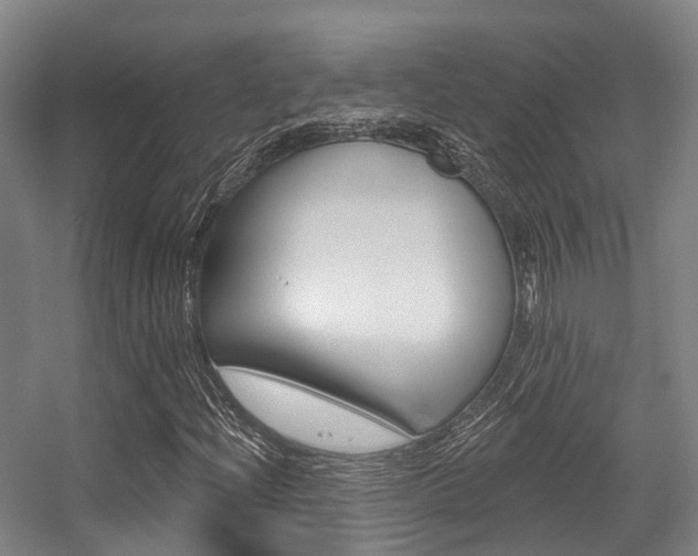 X0000056311204200508260816