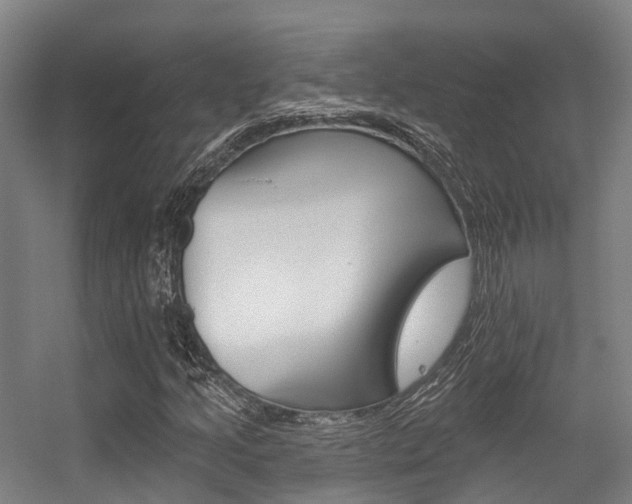 X0000056311205200508260816