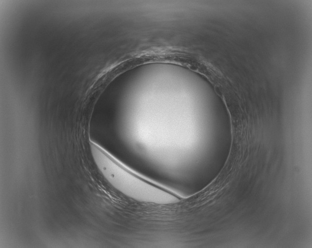 X0000056311206200508260816