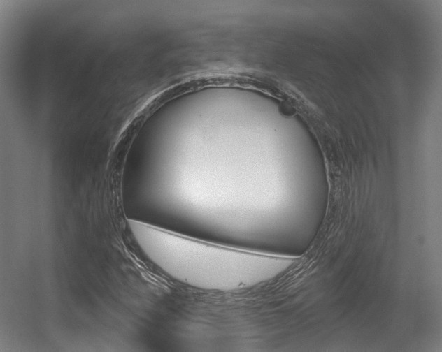 X0000056311208200508260816