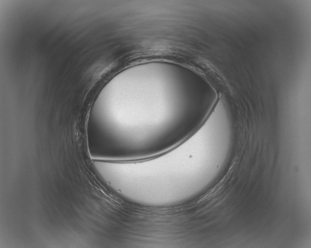 X0000056311210200508260816