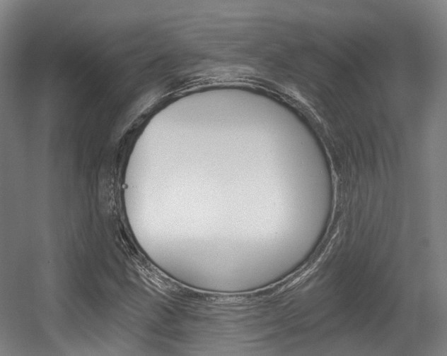 X0000056311211200508260816