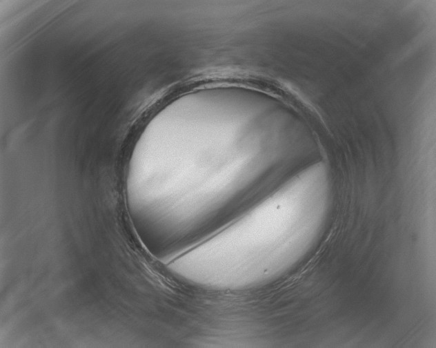 X0000056311213200508260816