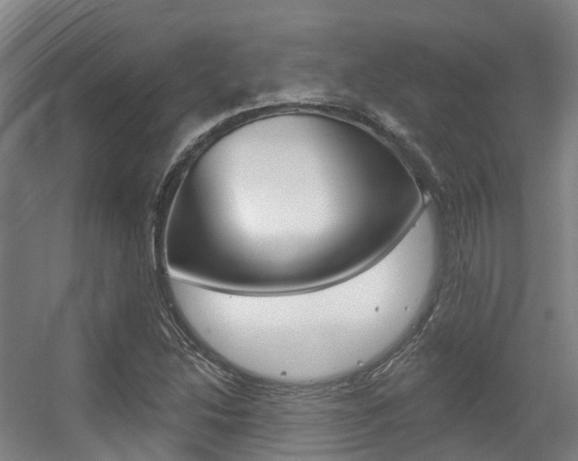X0000056311214200508260816