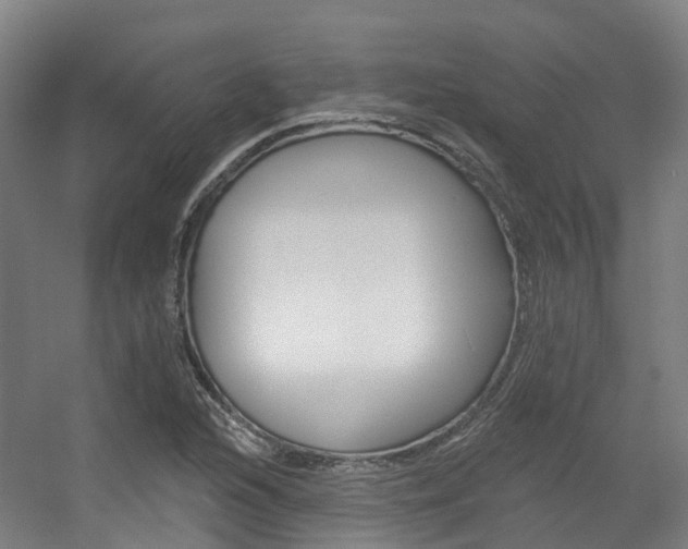 X0000056311216200508260816