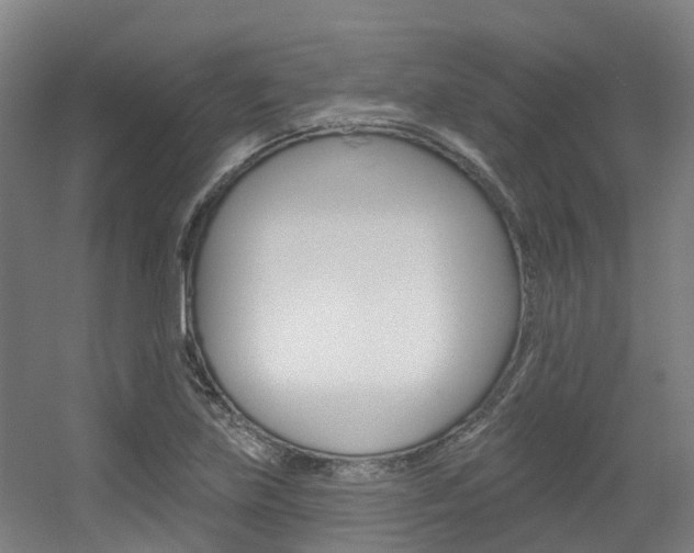X0000056311219200508260816